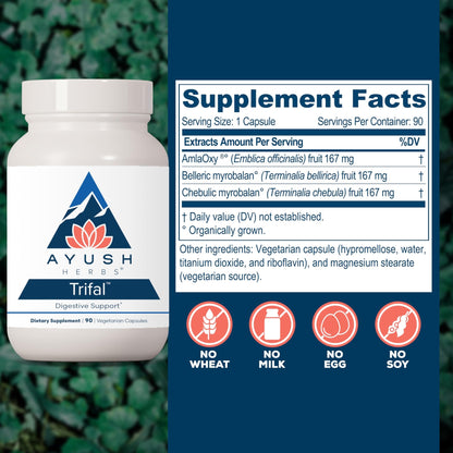 Ayush Herbs Trifal Digestive Support with Amla - Triphala Supplement for Women & Men, Promotes Balanced Digestion, Antioxidant Rich, Made with Organic Ingredients - 90 Vegetarian Capsules (1 Count) - dailyvitalstore