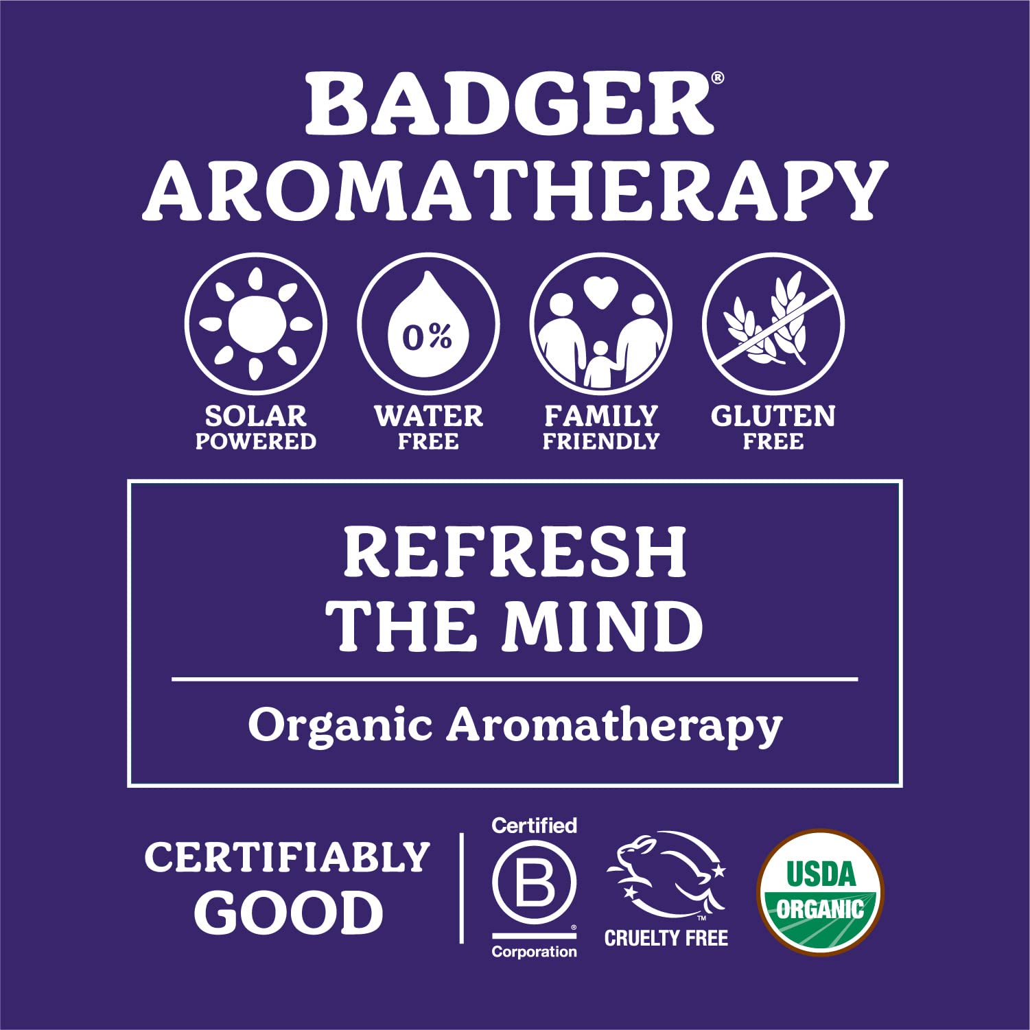 Badger Headache Soother - .6 oz Stick - dailyvitalstore