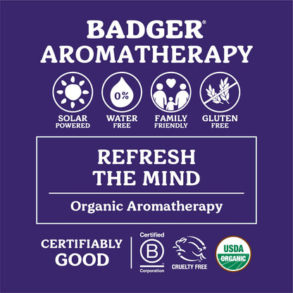 Badger Headache Soother - .6 oz Stick - dailyvitalstore