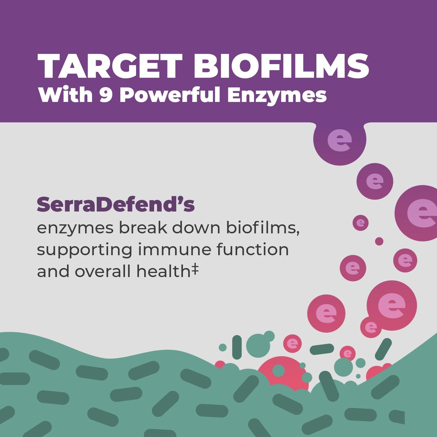 Balance ONE Biofilm Disruptor – Proteolytic Enzymes & Defense Supplement with Serrapeptase & Nattokinase – Systemic & Digestive Support – 60 Capsules, 2 Month Supply – for Women & Men – SerraDefend - dailyvitalstore