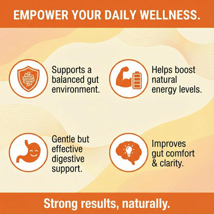 Balance ONE Candida Cleanse & Yeast Support Complex – Caprylic Acid, Undecylenic Acid, Berberine & Oregano Leaf – Gut Flora Balance for Women & Men - dailyvitalstore