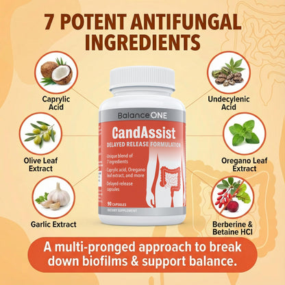 Balance ONE Candida Cleanse & Yeast Support Complex – Caprylic Acid, Undecylenic Acid, Berberine & Oregano Leaf – Gut Flora Balance for Women & Men - dailyvitalstore