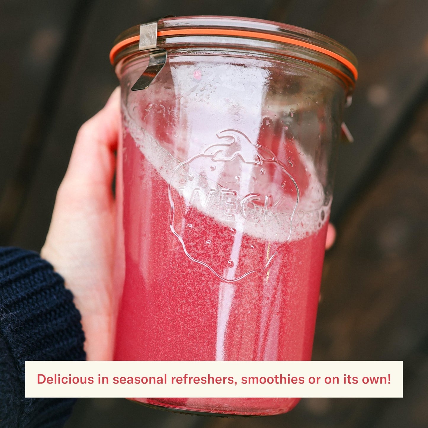 Ballerina Farm Farmer Hydrate, Daily Electrolytes Powder, Raspberry Lemonade, Hydration Drink Mix with Organic Coconut Water, Irish Sea Moss, Sea Salt, Prebiotic Fiber, No Added Sugar, 25 Servings - dailyvitalstore