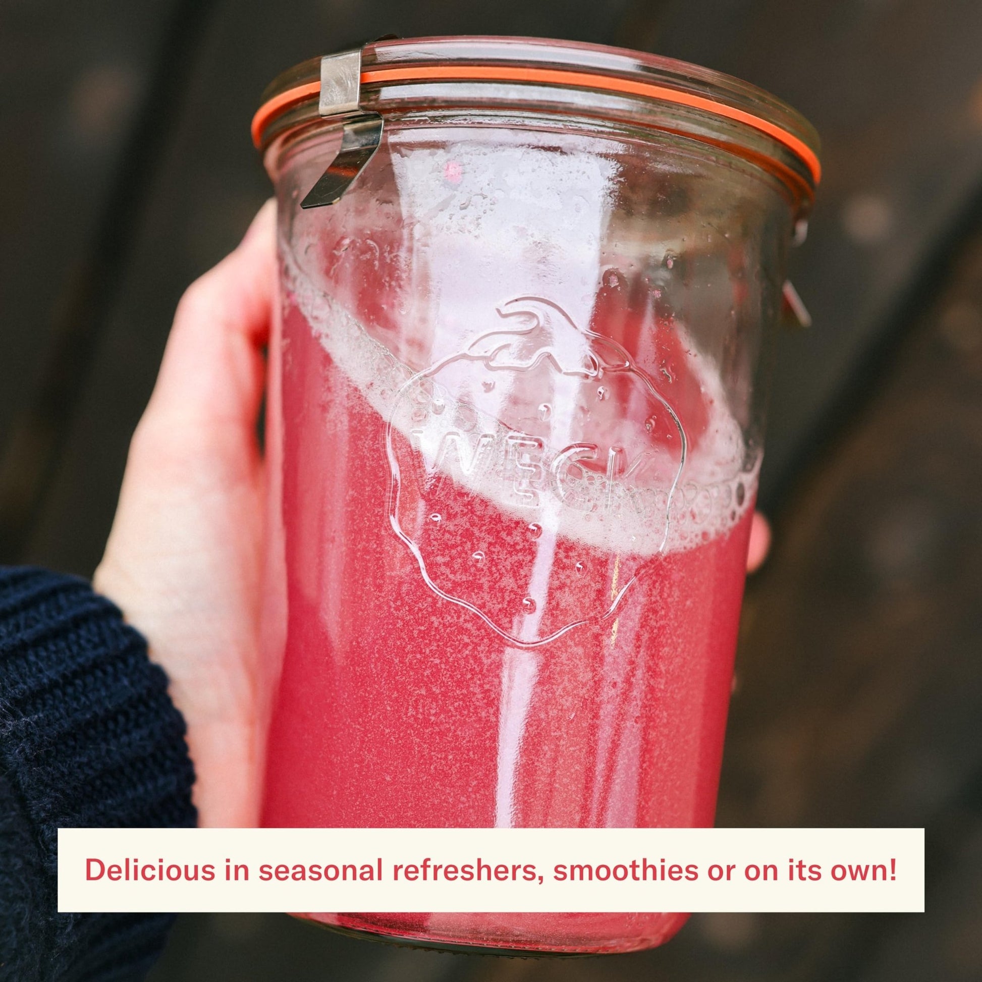 Ballerina Farm Farmer Hydrate, Daily Electrolytes Powder, Raspberry Lemonade, Hydration Drink Mix with Organic Coconut Water, Irish Sea Moss, Sea Salt, Prebiotic Fiber, No Added Sugar, 25 Servings - dailyvitalstore
