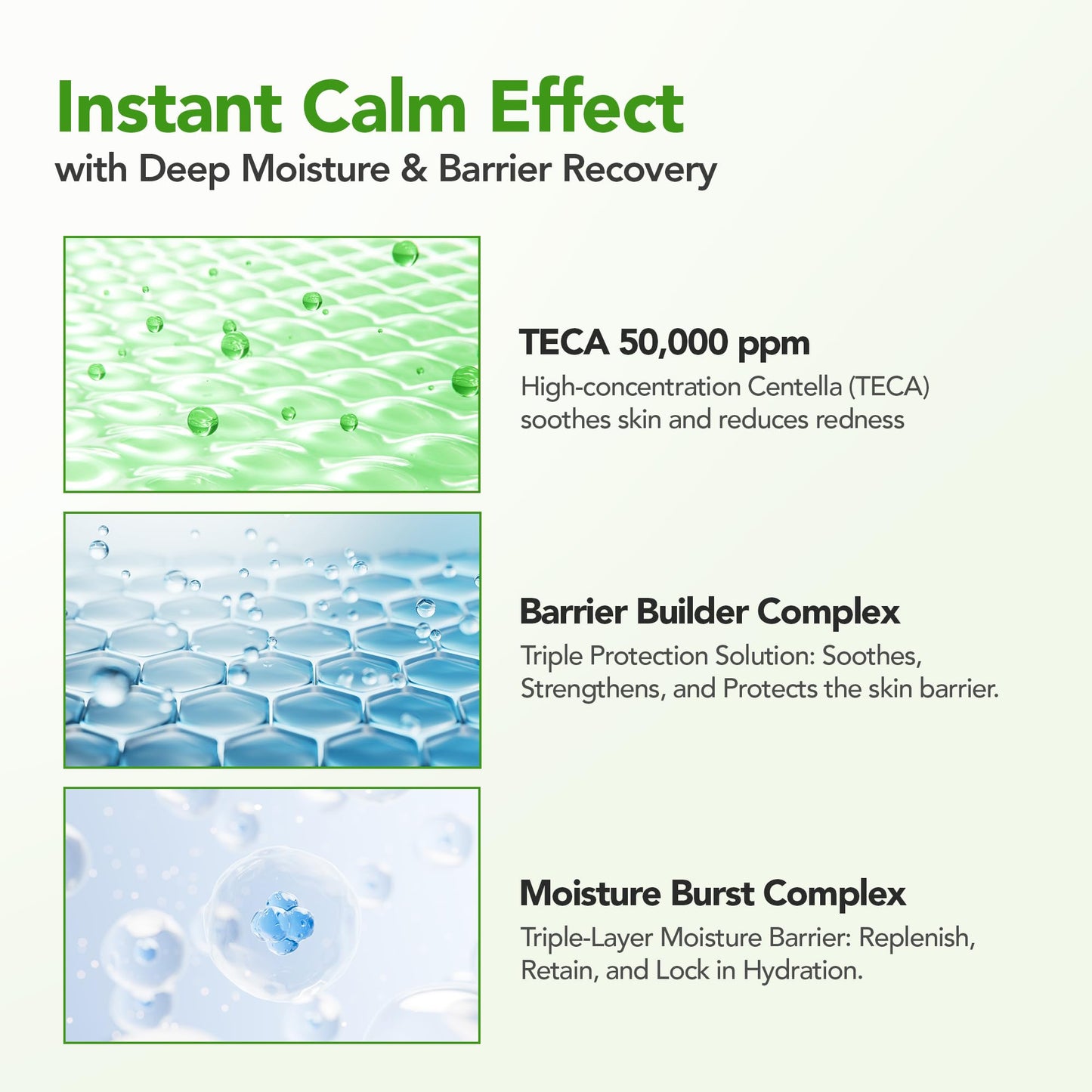 BALOOM Centella Asiatica Calming Ampoule with TECA & Niacinamide - Korean Cica Serum for Sensitive Skin - Soothing Redness Relief, - dailyvitalstore