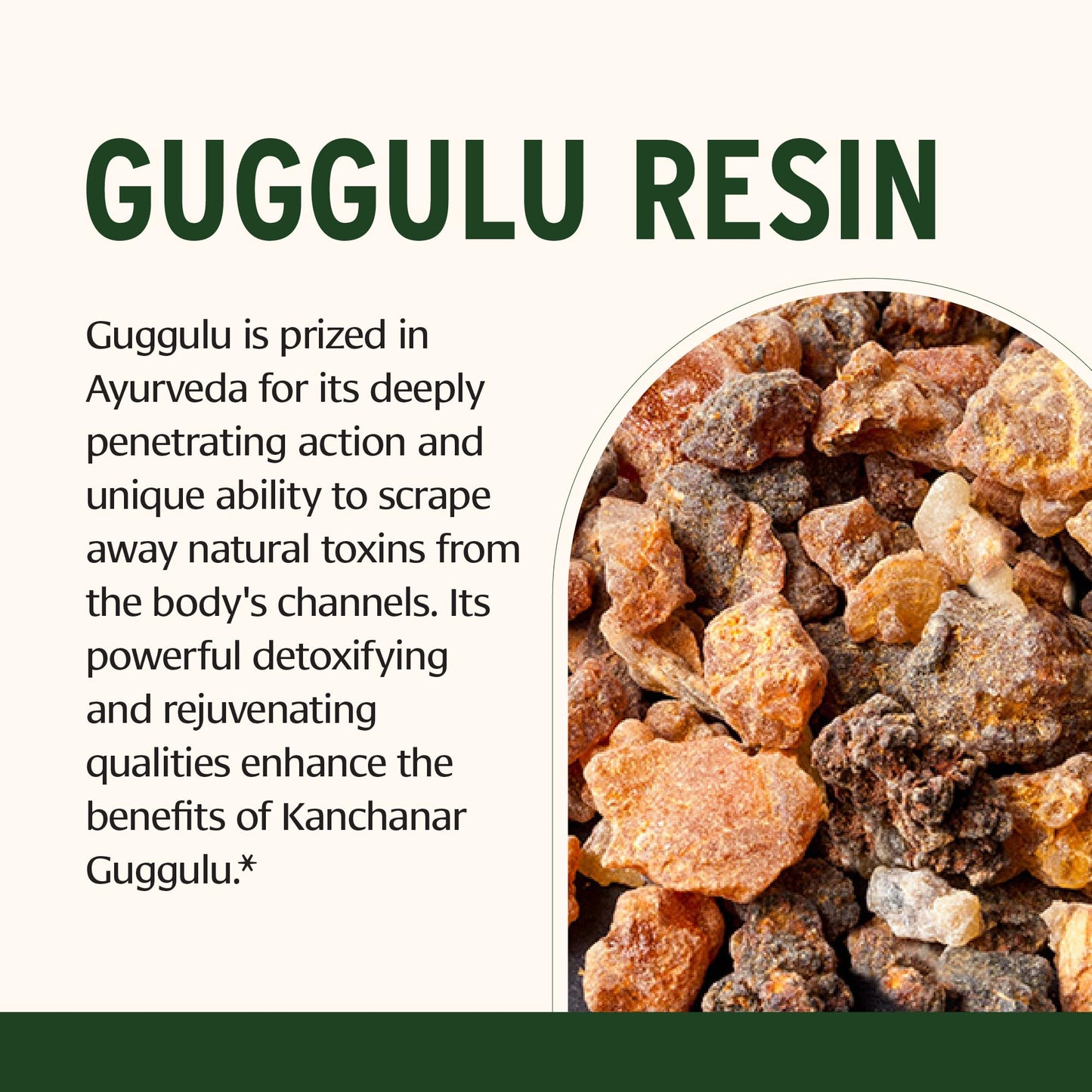 Banyan Botanicals Kanchanar Guggulu Tablets – Organic Lymph Supplement with Guggulu Resin – Promotes the Healthy Elimination of Natural Toxins* – 90 Tablets – Non-GMO Sustainably Sourced Vegan - dailyvitalstore