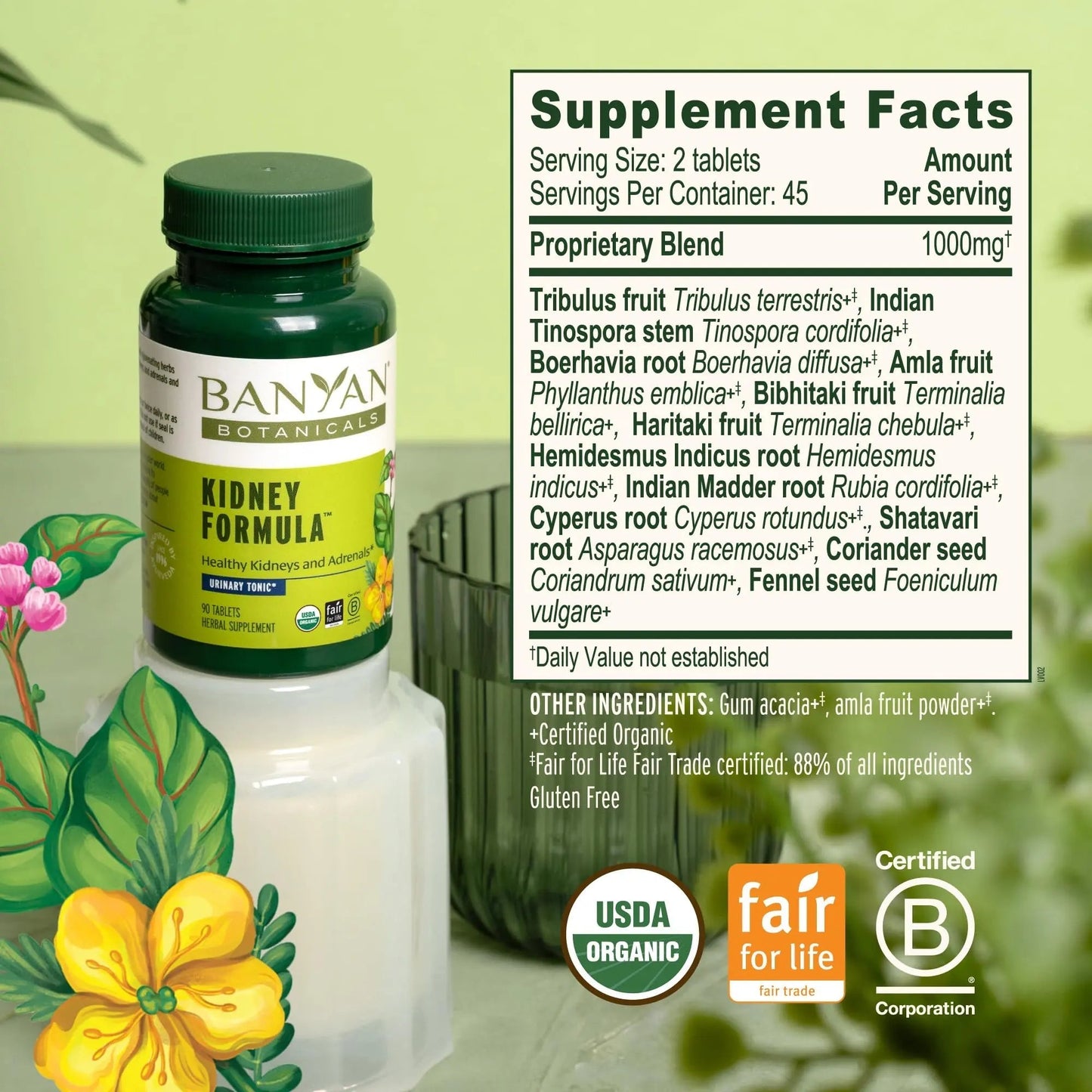 Banyan Botanicals Organic Kidney Formula–Urinary Tract Support & Detox Supplement–Gokshura & Punarnava for Fluid Balance & Systemic Cleansing–Cooling Genitourinary Tonic-90 Tablets-USDA Organic - dailyvitalstore