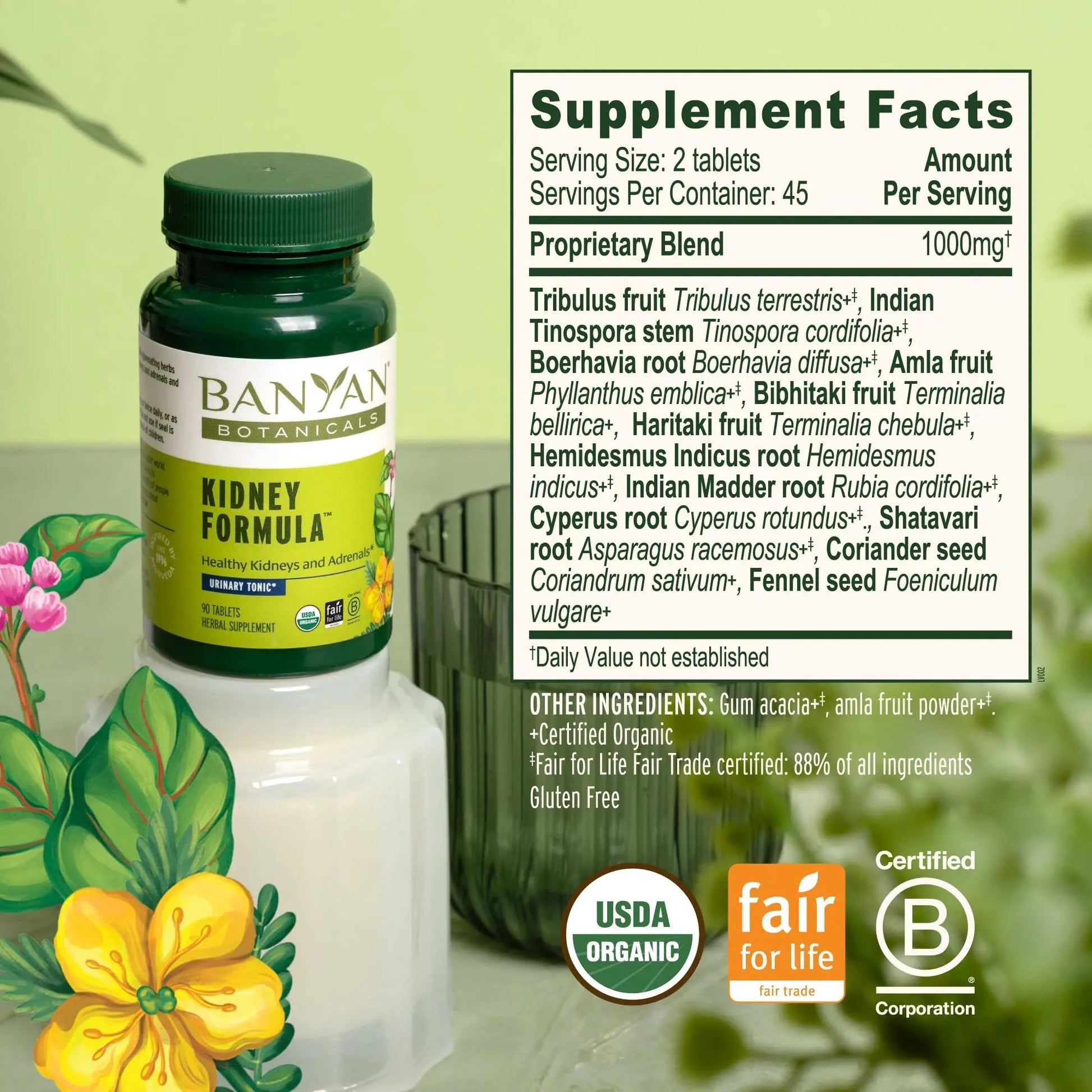 Banyan Botanicals Organic Kidney Formula–Urinary Tract Support & Detox Supplement–Gokshura & Punarnava for Fluid Balance & Systemic Cleansing–Cooling Genitourinary Tonic-90 Tablets-USDA Organic - dailyvitalstore