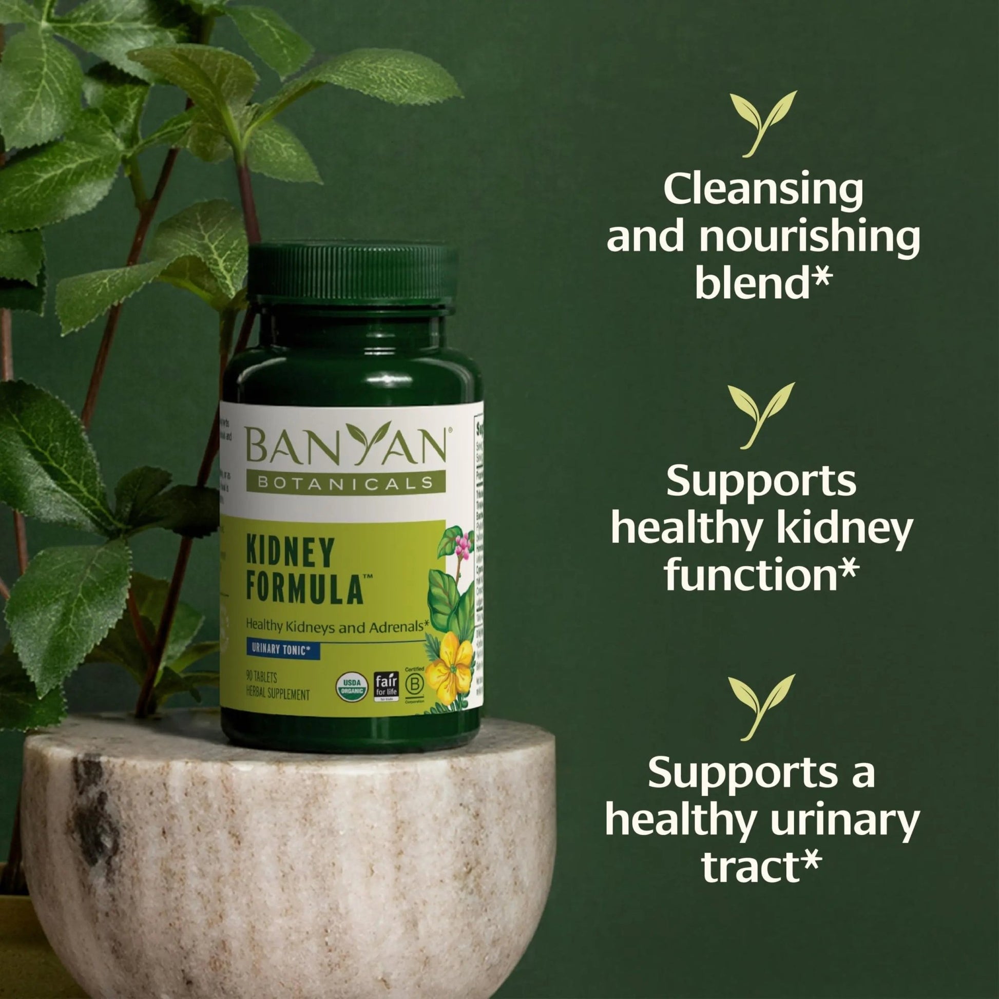 Banyan Botanicals Organic Kidney Formula–Urinary Tract Support & Detox Supplement–Gokshura & Punarnava for Fluid Balance & Systemic Cleansing–Cooling Genitourinary Tonic-90 Tablets-USDA Organic - dailyvitalstore