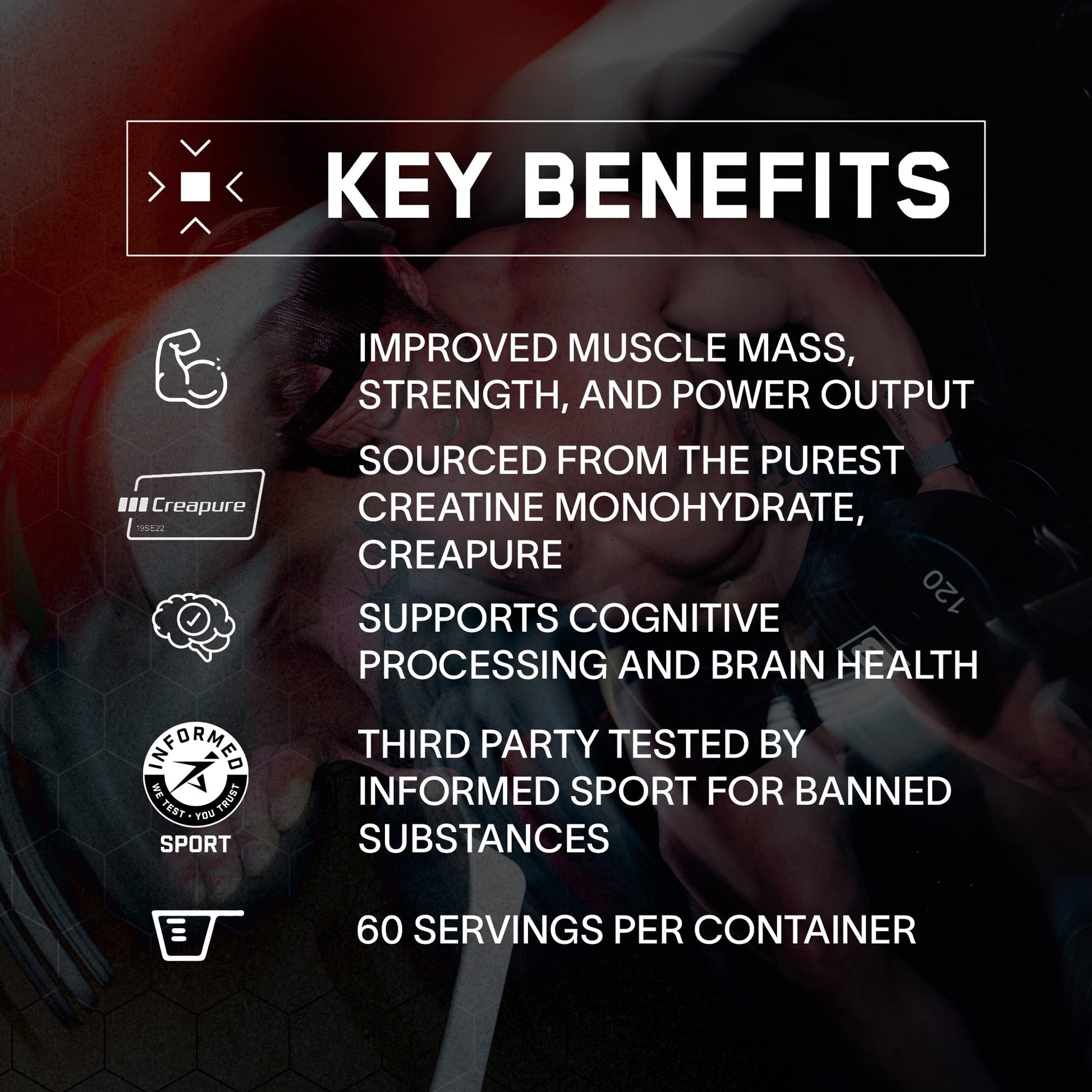 BARE PERFORMANCE NUTRITION, BPN Pure Creatine Monohydrate Powder by Creapure, 5g of Creatine per Serving, Supports Muscle Growth - dailyvitalstore