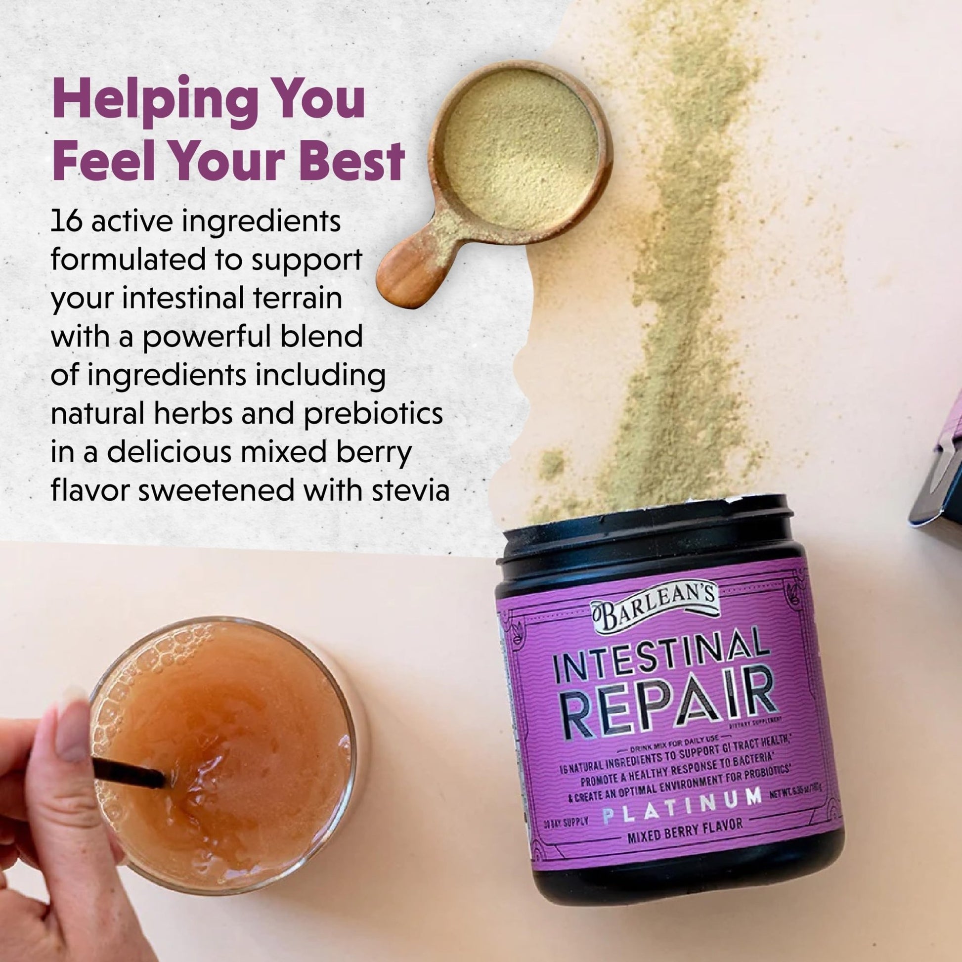 Barlean's Gut Health Powder, Intestinal Repair Fiber and Digestive Support Blend for Men and Women, Mixed Berry Drink Mix, 6.35 oz - dailyvitalstore