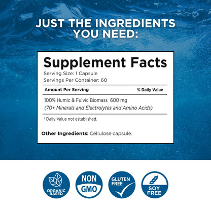 Beam Minerals Complete Multi-Mineral Capsules | Electro-Boost Plant-Based Electrolytes and Micronutrients for Men and Women | Help to Boost Immunity, Support Gut Health - dailyvitalstore