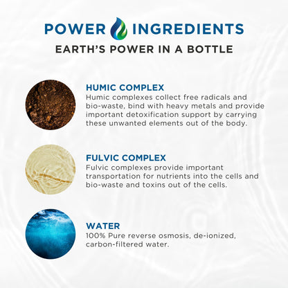 Beam Minerals Complete Multi-Mineral Capsules | Electro-Boost Plant-Based Electrolytes and Micronutrients for Men and Women | Help to Boost Immunity, Support Gut Health - dailyvitalstore