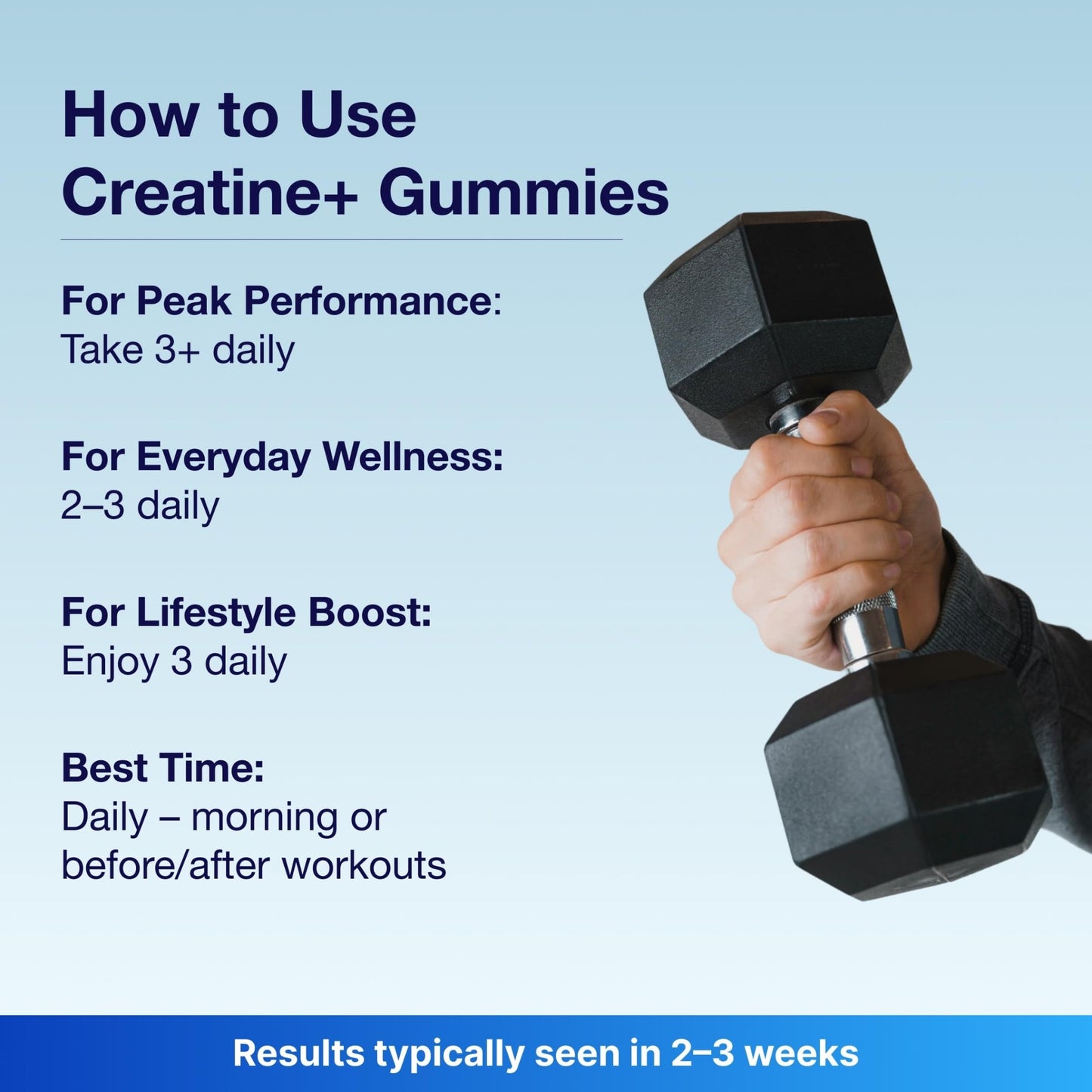 Bear Balanced Creatine Gummies for Men & Women - Creapure® Creatine Monohydrate, L-Theanine, L-Tyrosine & B12 for Muscle Growth, Strength, Focus, Energy & Health - dailyvitalstore