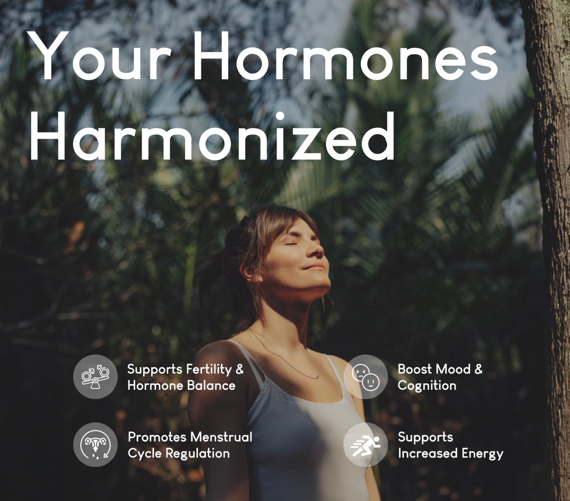 Beef Organ Supplement for Women | Supports Hormone Balance | Ovary, Uterus & Reproductive Nourishment + Liver, Kidney & Heart for Cycle Harmony - dailyvitalstore
