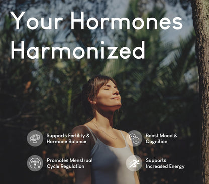 Beef Organ Supplement for Women | Supports Hormone Balance | Ovary, Uterus & Reproductive Nourishment + Liver, Kidney & Heart for Cycle Harmony - dailyvitalstore