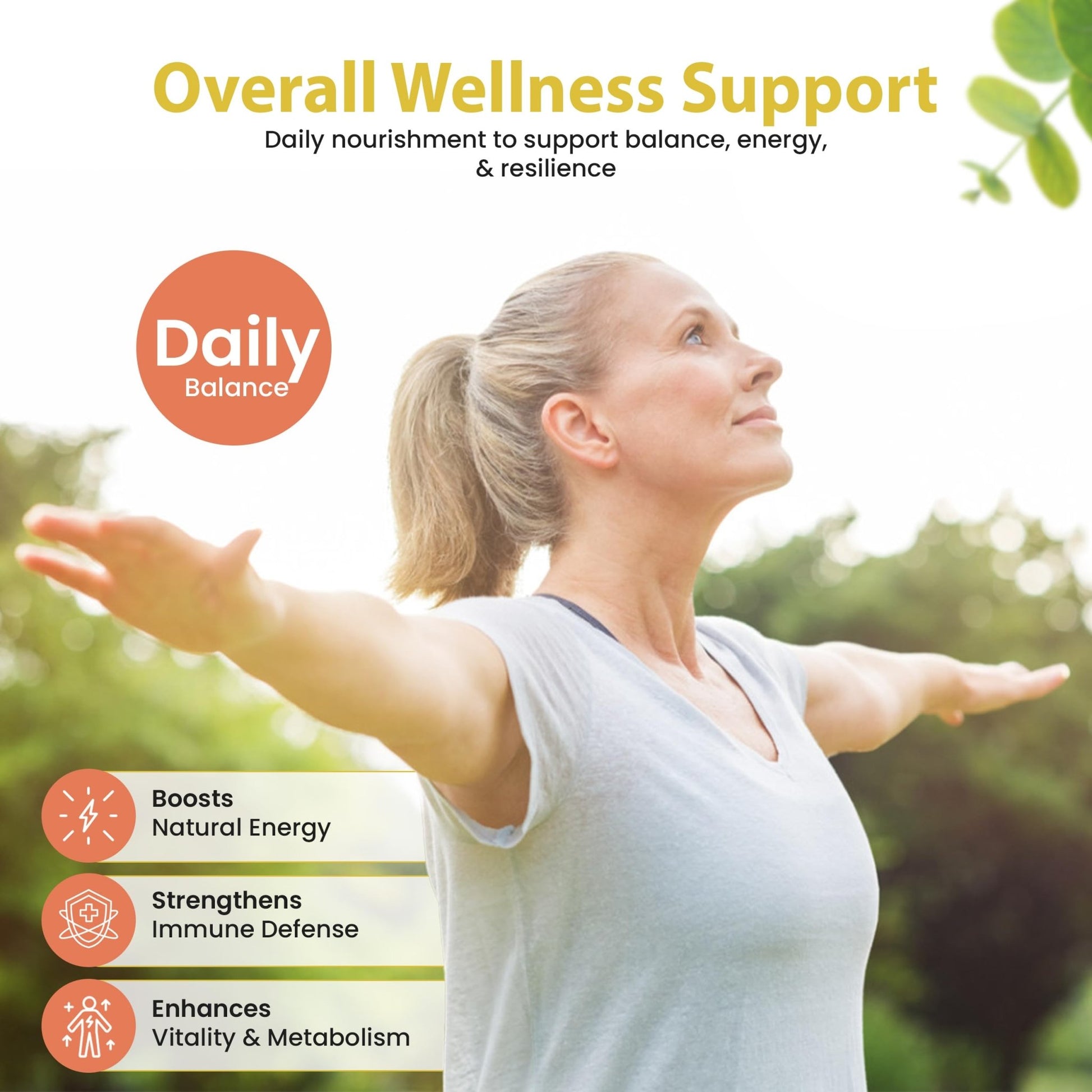 Bella All Natural Moringa Capsules 60 Count - Moringa Oleifera Leaf Supplement with Pomegranate & Elderberry Flavor, Pure Organic Moringa Capsules for Immune, Energy & Skin Health Support - dailyvitalstore