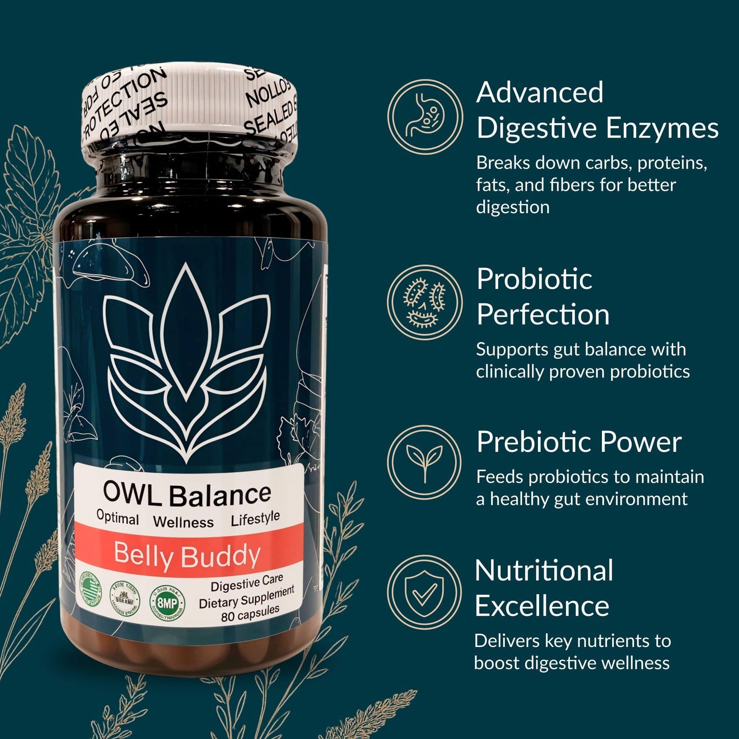 Belly Buddy Advanced Gut Health Support containing a helthy Blend of Probiotics, Prebiotics, and Digestive Enzymes - dailyvitalstore