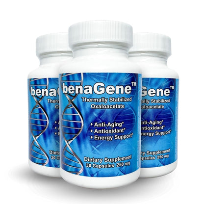 Benagene Oxaloacetate Supplement - Supports Cellular Energy, Healthy Metabolism, & Body Regulation - Thermally Stabilized with Vitamin C - Non-GMO & Vegan - Once Daily (90 Servings) - dailyvitalstore