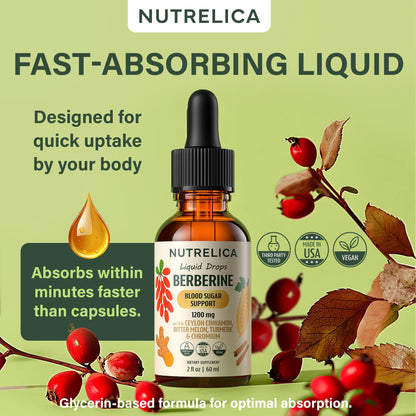 Berberine with Ceylon Cinnamon, Bitter Melon, Turmeric & Chromium – Blood Sugar Balance & Glucose Metabolism - dailyvitalstore