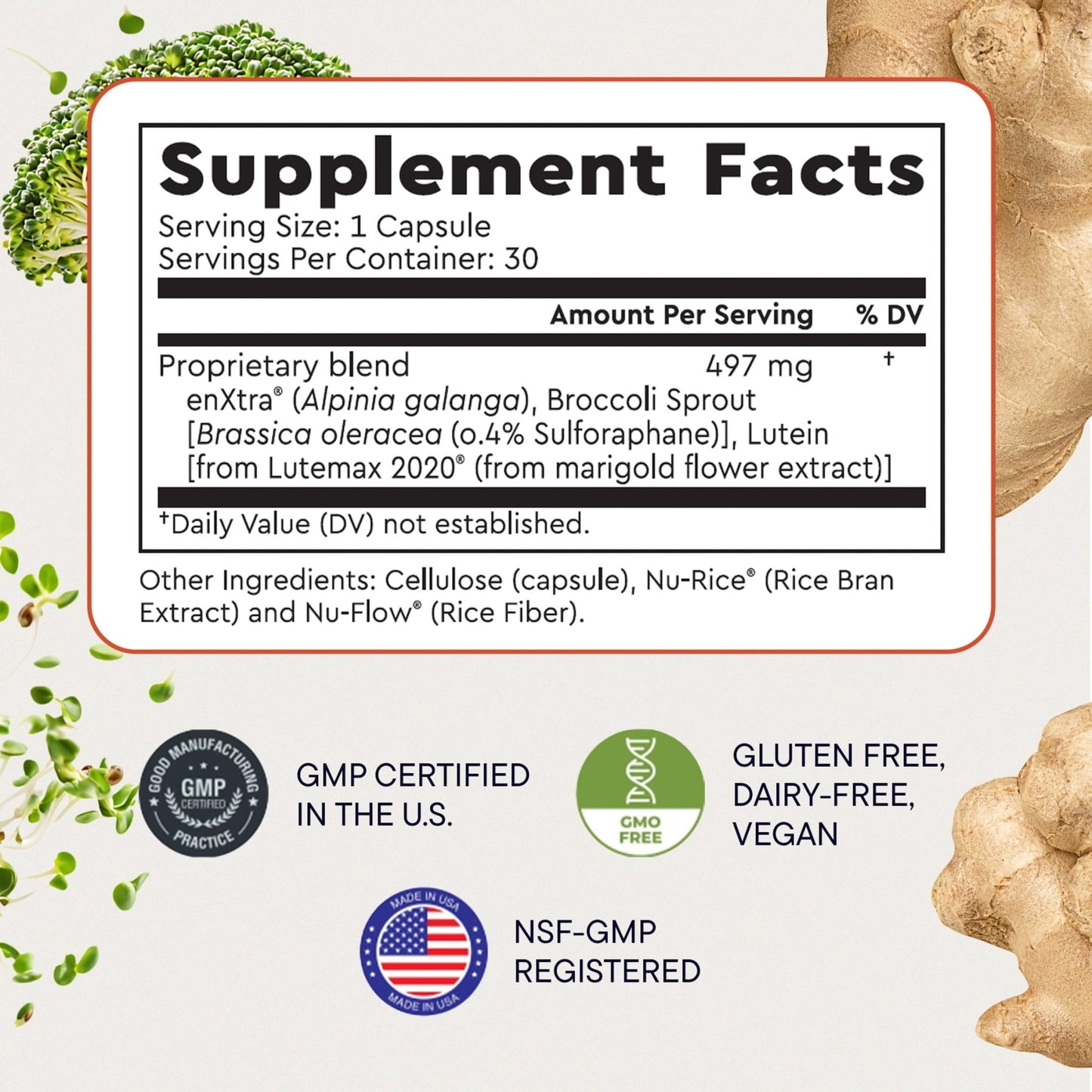 Berkeley Life Cognitive Support Supplement for Memory & Focus - Brain Health Supplements Supports Memory Loss, Mental Clarity, Inability to Multitask & Loss of Speed - for Adults - 30 Capsules - dailyvitalstore