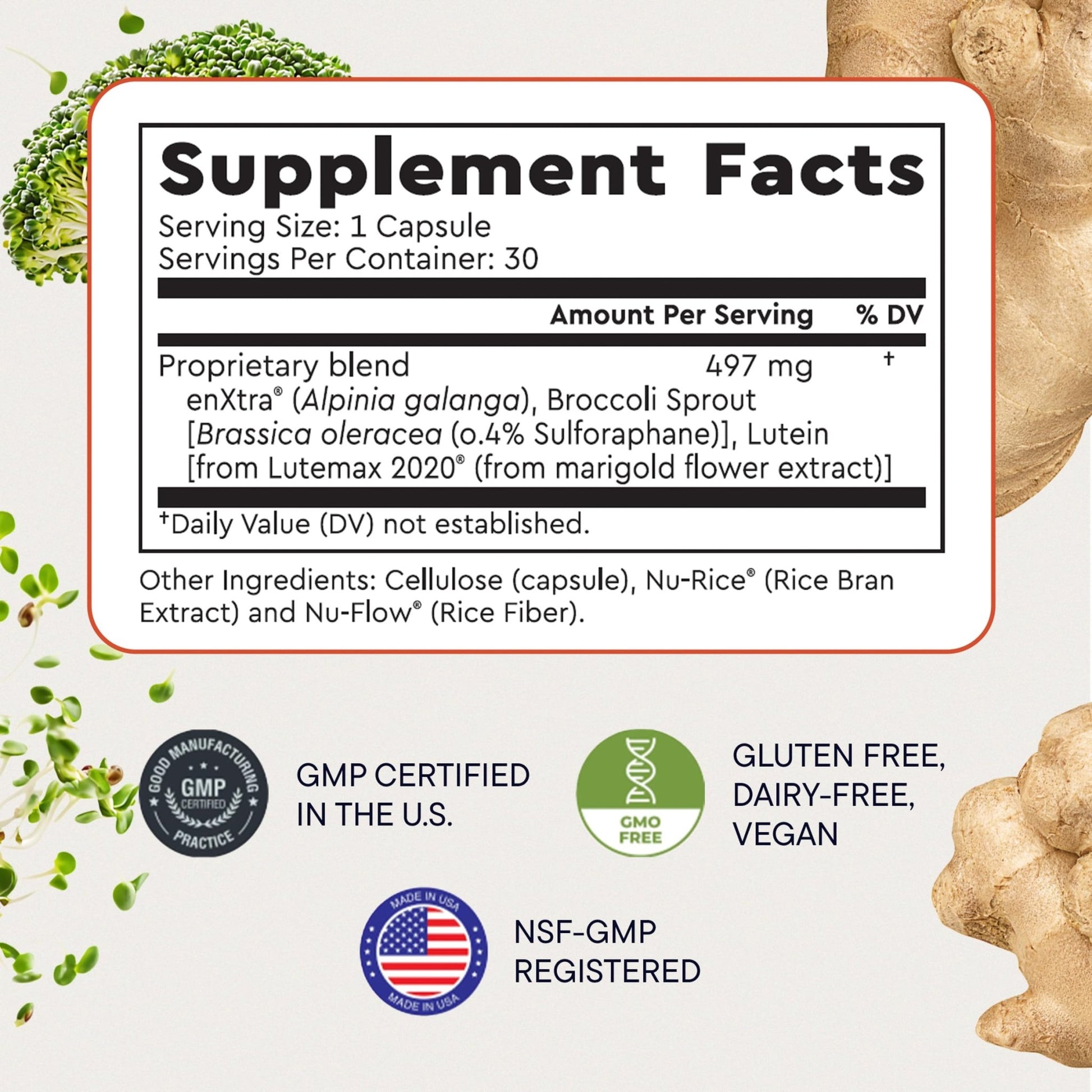 Berkeley Life Cognitive Support Supplement for Memory & Focus - Brain Health Supplements Supports Memory Loss, Mental Clarity, Inability to Multitask & Loss of Speed - for Adults - 30 Capsules - dailyvitalstore