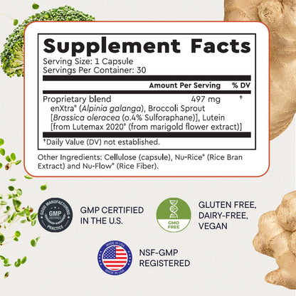 Berkeley Life Cognitive Support Supplement for Memory & Focus - Brain Health Supplements Supports Memory Loss, Mental Clarity, Inability to Multitask & Loss of Speed - for Adults - 30 Capsules - dailyvitalstore