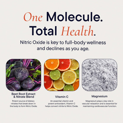 Berkeley Life Nitric Oxide Support Supplement - Nitric Oxide Booster for Men & Women - Blood Flow & Circulation with Beet Root Powder to Support Energy, Heart Health - dailyvitalstore