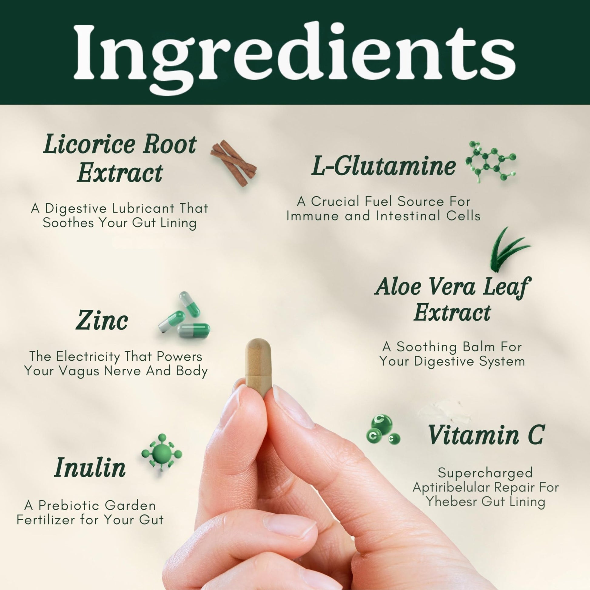 Best Days Formula | Advanced 5-in-1 Gut Support for Bloating, Gas & Irregularity | Soil-Based Probiotics + Prebiotics, L-Glutamine, Aloe Vera & More | 60 Capsules - dailyvitalstore