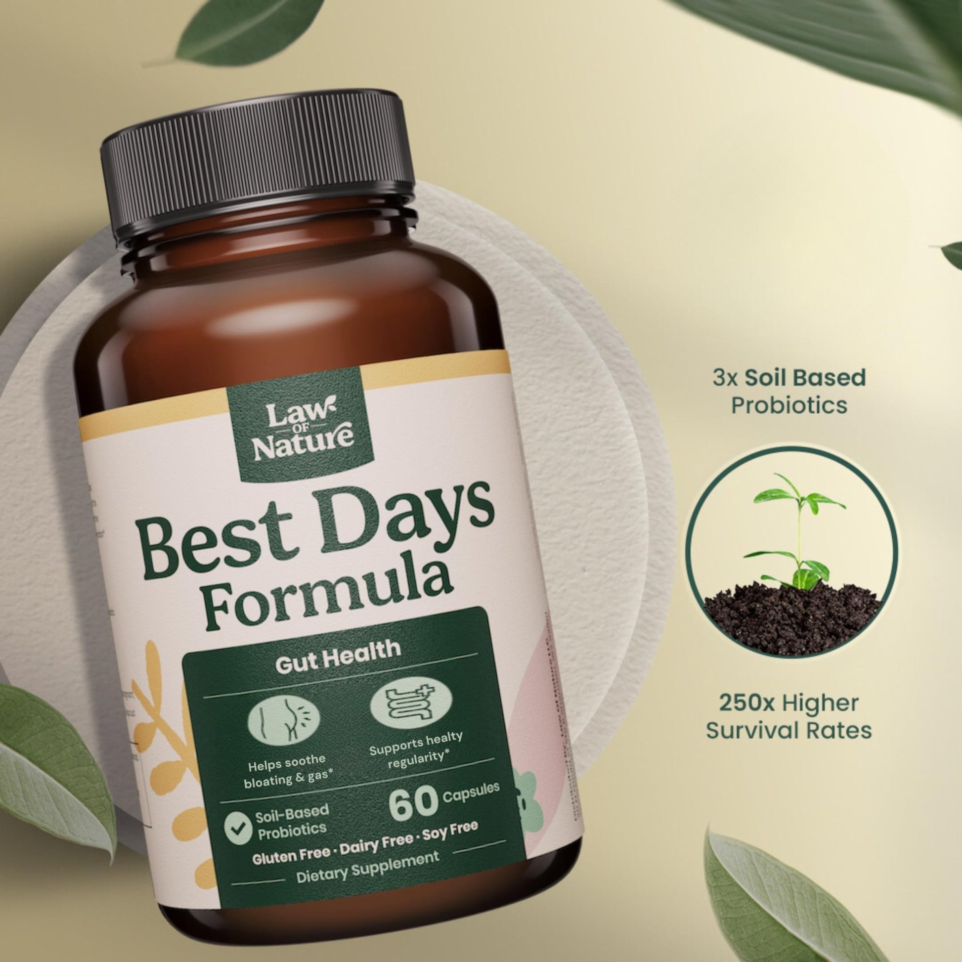 Best Days Formula | Advanced 5-in-1 Gut Support for Bloating, Gas & Irregularity | Soil-Based Probiotics + Prebiotics, L-Glutamine, Aloe Vera & More | 60 Capsules - dailyvitalstore