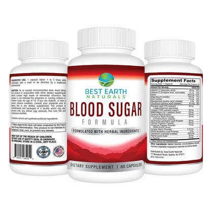Best Earth Naturals Blood Sugar Formula with Cinnamon, Gymnema Sylvestre, Banaba, Guggul and More 60 Count - dailyvitalstore