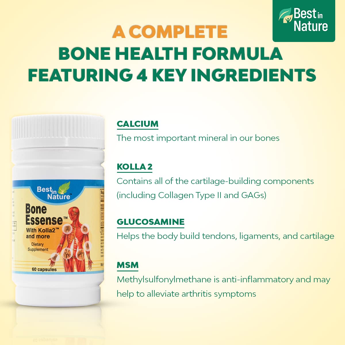 Best in Nature Bone Essense with Kolla2 (Type II Collagen) - Bone and Joint Health Supplement. (60 Count) - dailyvitalstore