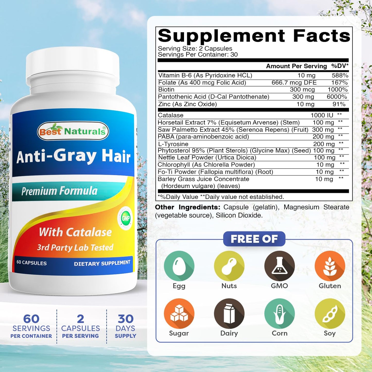 Best Naturals Anti Gray Hair Formula, 60 Count - dailyvitalstore