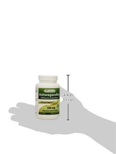 Best Naturals Ashwagandha Capsules for Relaxing Stress and Mood, 500 mg, 120 Count (Packaging may vary) - dailyvitalstore