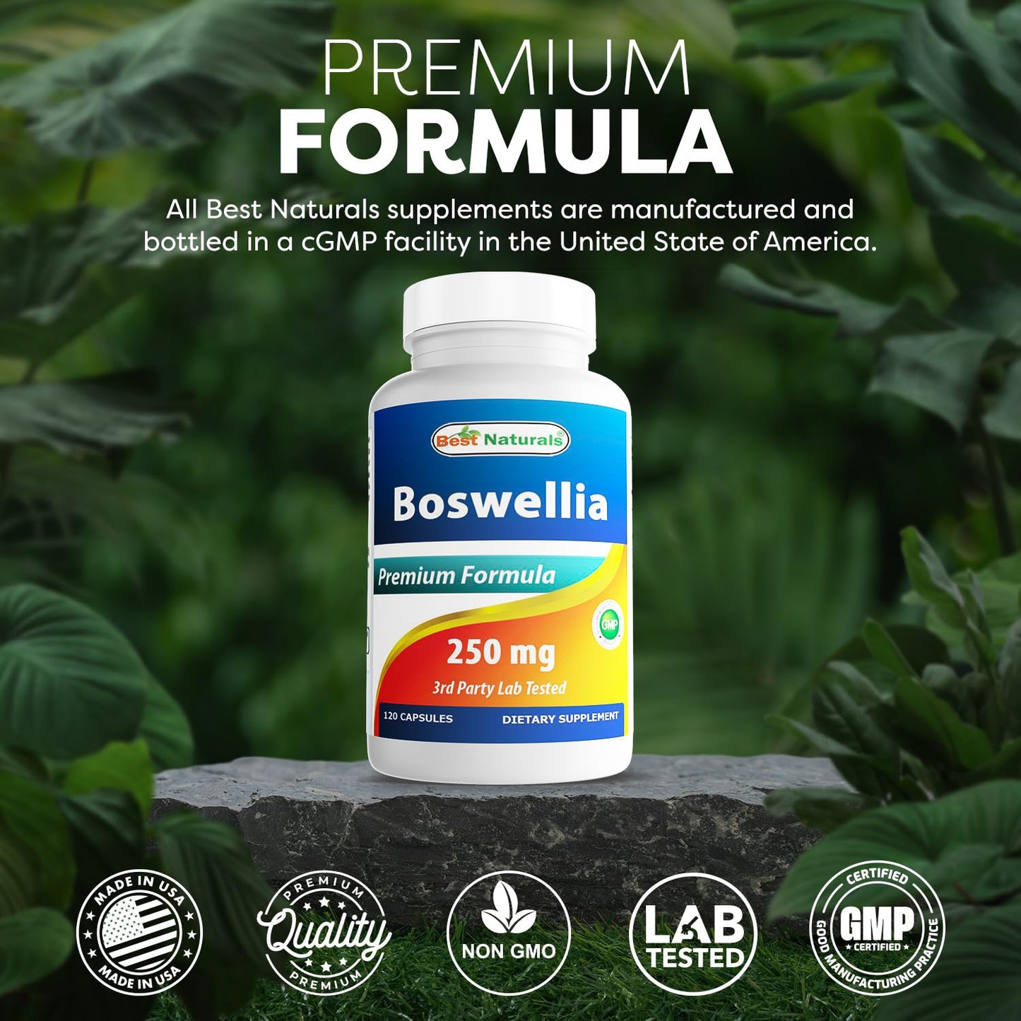 Best Naturals Boswellia Serrata Joint Health 250 mg 120 Capsules - Standardized to 65% Boswellic Acid (120 Count (Pack of 3)) - dailyvitalstore