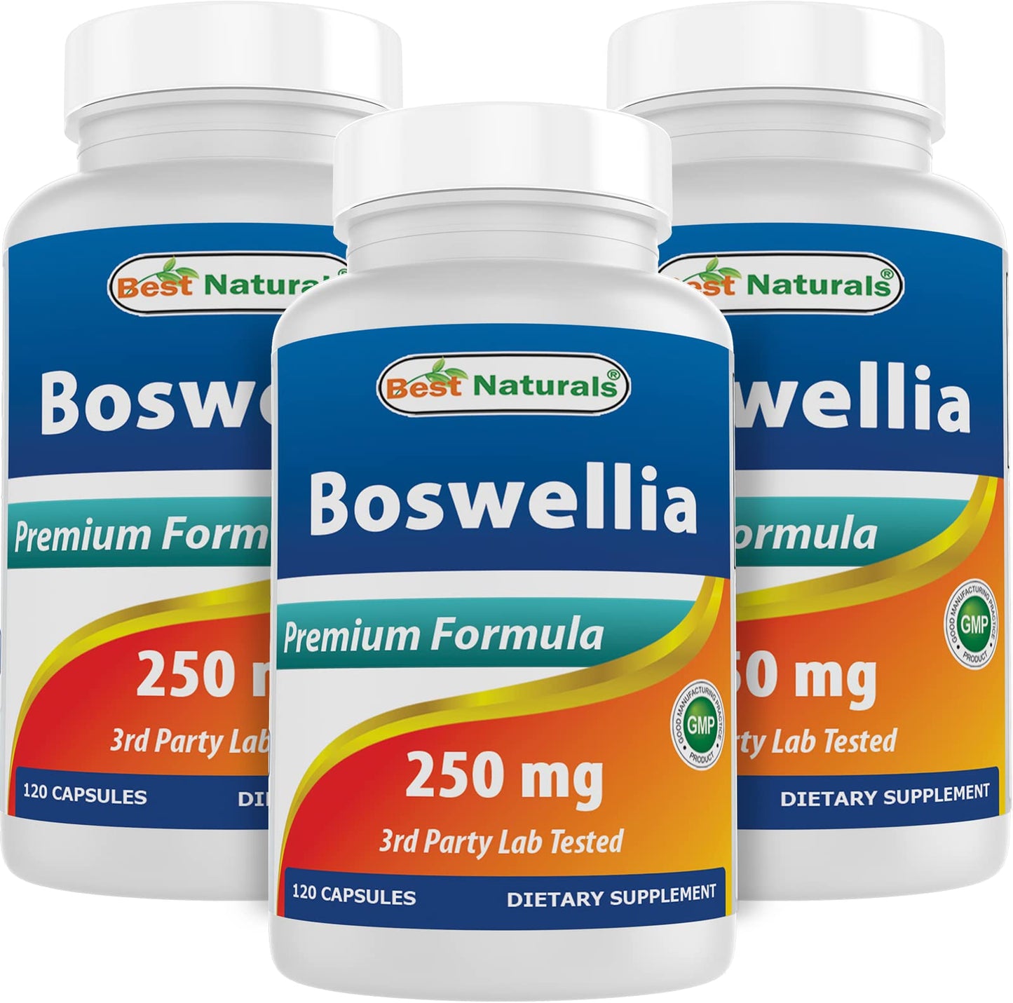 Best Naturals Boswellia Serrata Joint Health 250 mg 120 Capsules - Standardized to 65% Boswellic Acid (120 Count (Pack of 3)) - dailyvitalstore