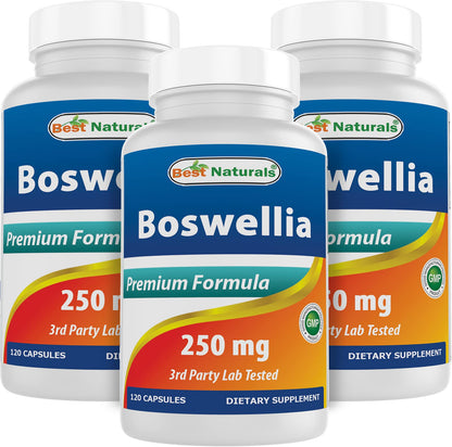 Best Naturals Boswellia Serrata Joint Health 250 mg 120 Capsules - Standardized to 65% Boswellic Acid (120 Count (Pack of 3)) - dailyvitalstore