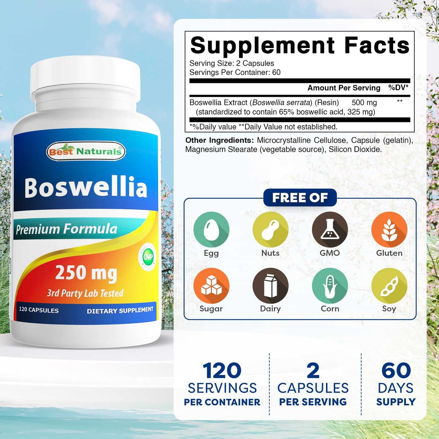 Best Naturals Boswellia Serrata Joint Health 250 mg 120 Capsules - Standardized to 65% Boswellic Acid (120 Count (Pack of 3)) - dailyvitalstore