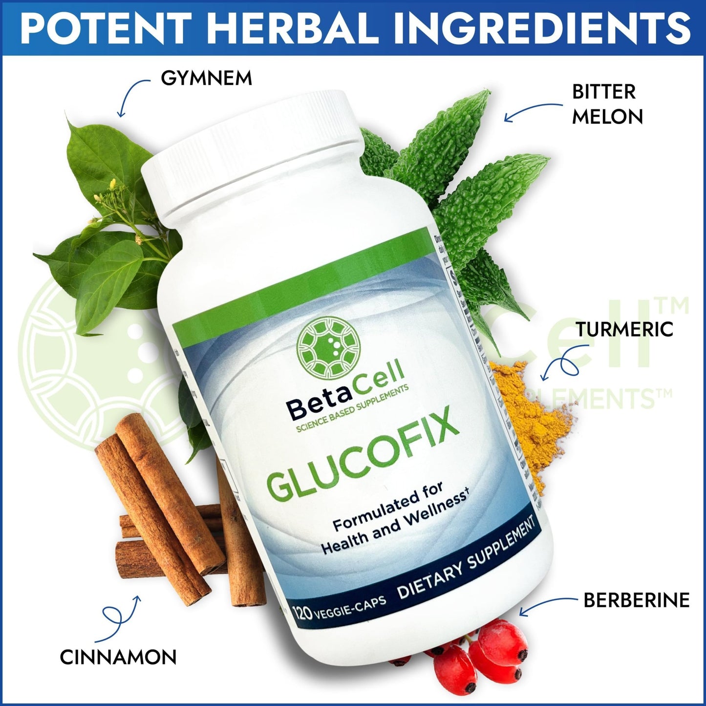 BETACELL Glucofix - Supplement - Herbal Supplement with Cinnamon, Gymnema, , Bitter Melon, and Turmeric - 120 Capsules - dailyvitalstore