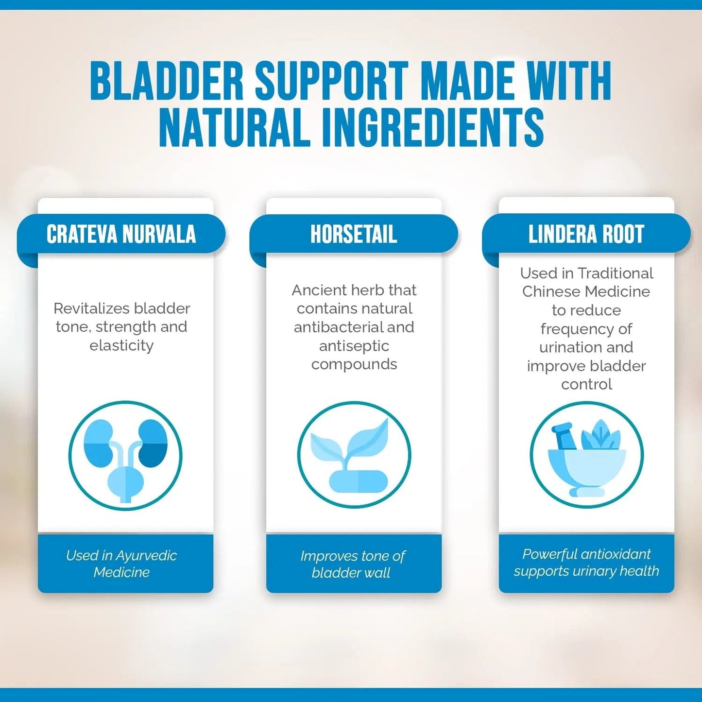 Better Bladder Control Supplement for Women & Men – Bladder Support Supplement to Help Reduce Urinary Leaks, Frequency & Urgency - 60 Count (1 Bottle) - dailyvitalstore