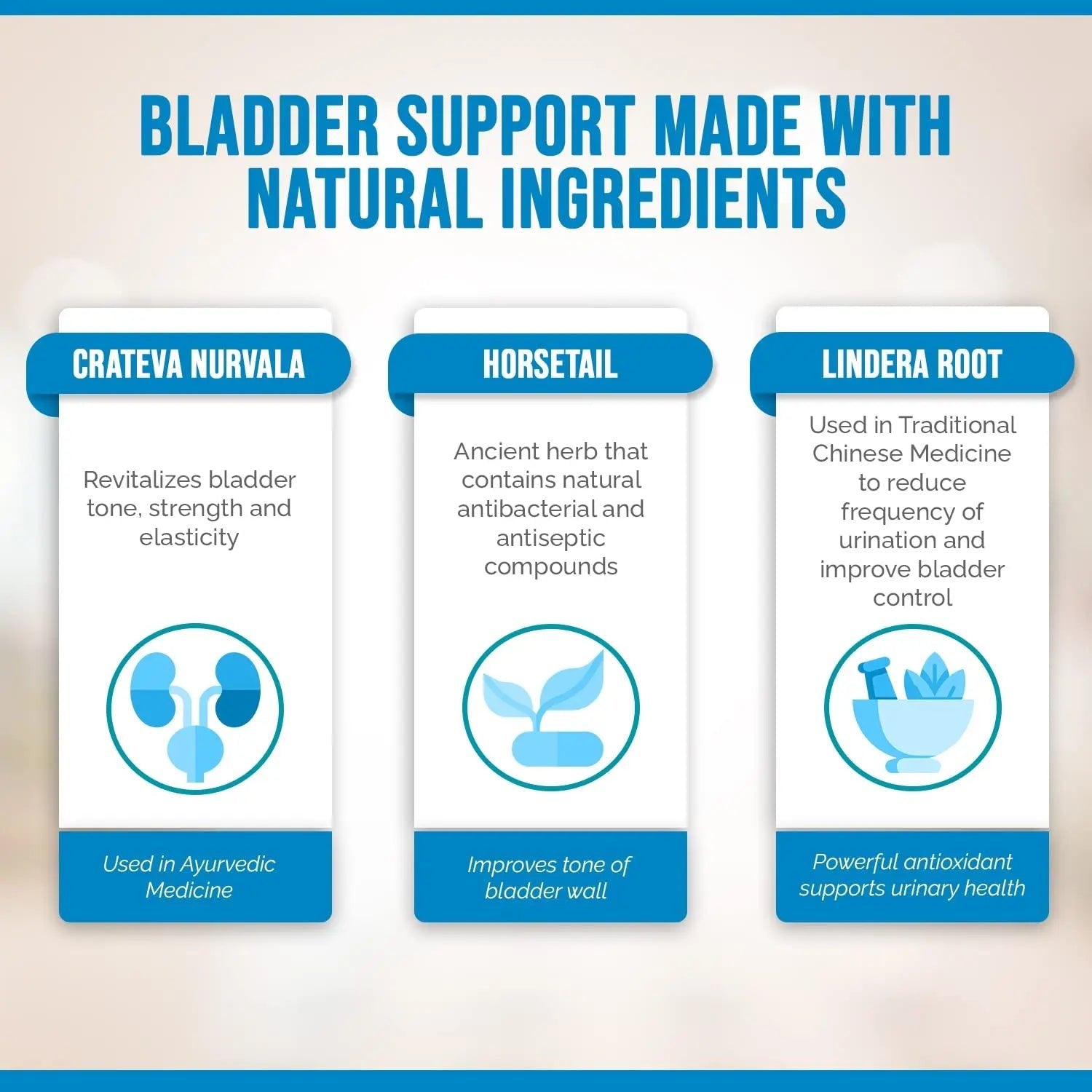 Better Bladder Control Supplement for Women & Men – Bladder Support Supplement to Help Reduce Urinary Leaks, Frequency & Urgency - 60 Count (1 Bottle) - dailyvitalstore