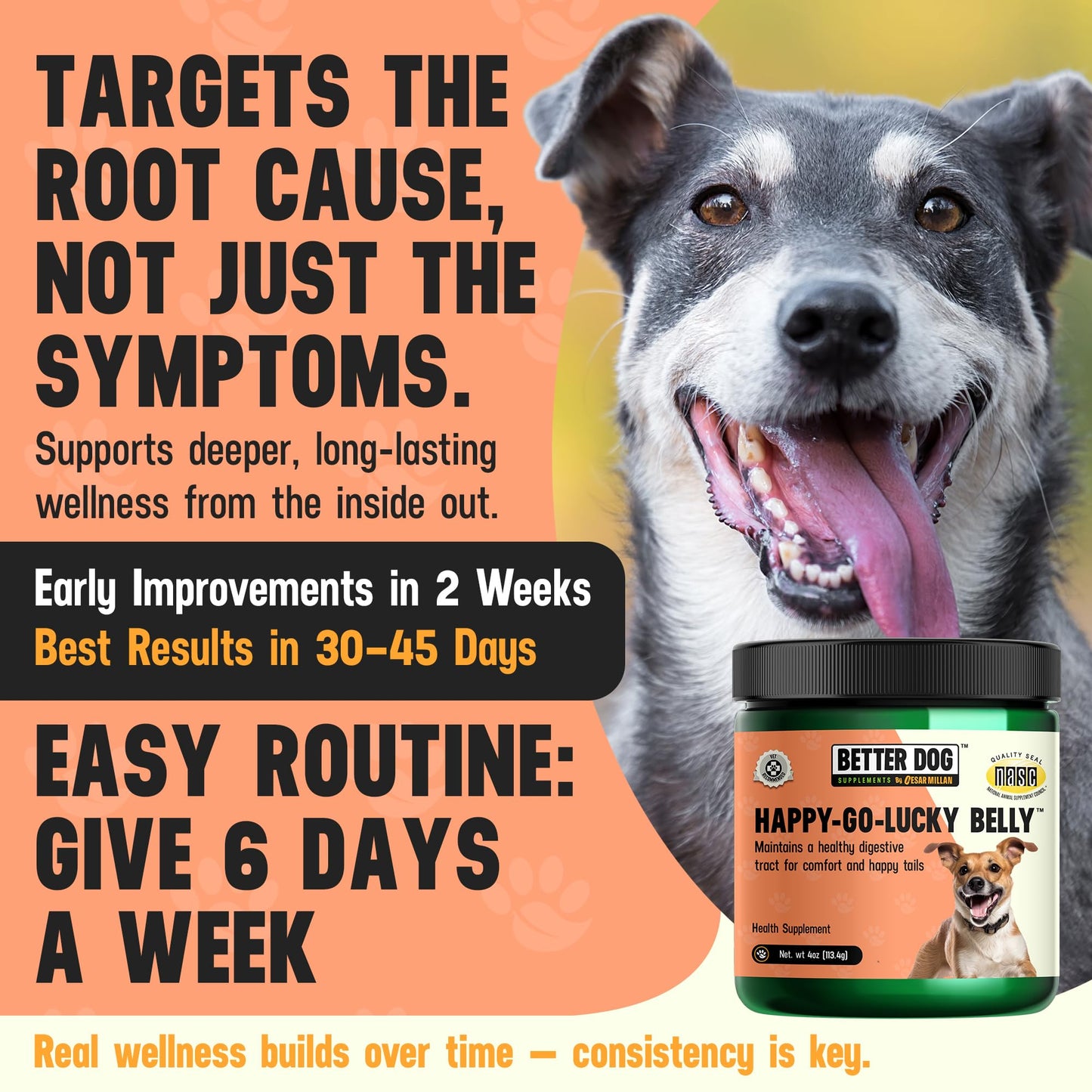 Better Dog Supplements Happy-Go-Lucky Belly by Cesar Millan - Natural Dog Digestive Support Powder – Dog Constipation Relief, Gut Balance & Regularity with Herbal Fiber for Dogs – 4oz (60-Day Supply) - dailyvitalstore