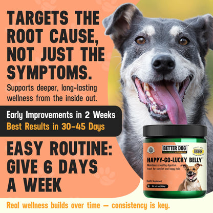 Better Dog Supplements Happy-Go-Lucky Belly by Cesar Millan - Natural Dog Digestive Support Powder – Dog Constipation Relief, Gut Balance & Regularity with Herbal Fiber for Dogs – 4oz (60-Day Supply) - dailyvitalstore