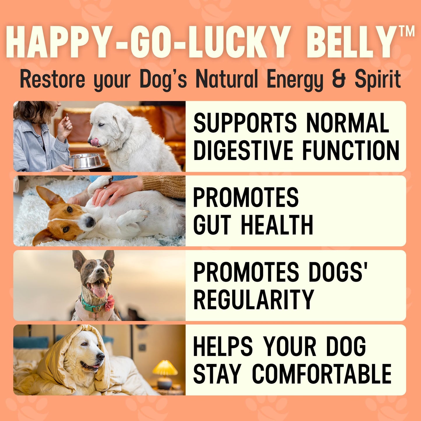 Better Dog Supplements Happy-Go-Lucky Belly by Cesar Millan - Natural Dog Digestive Support Powder – Dog Constipation Relief, Gut Balance & Regularity with Herbal Fiber for Dogs – 4oz (60-Day Supply) - dailyvitalstore