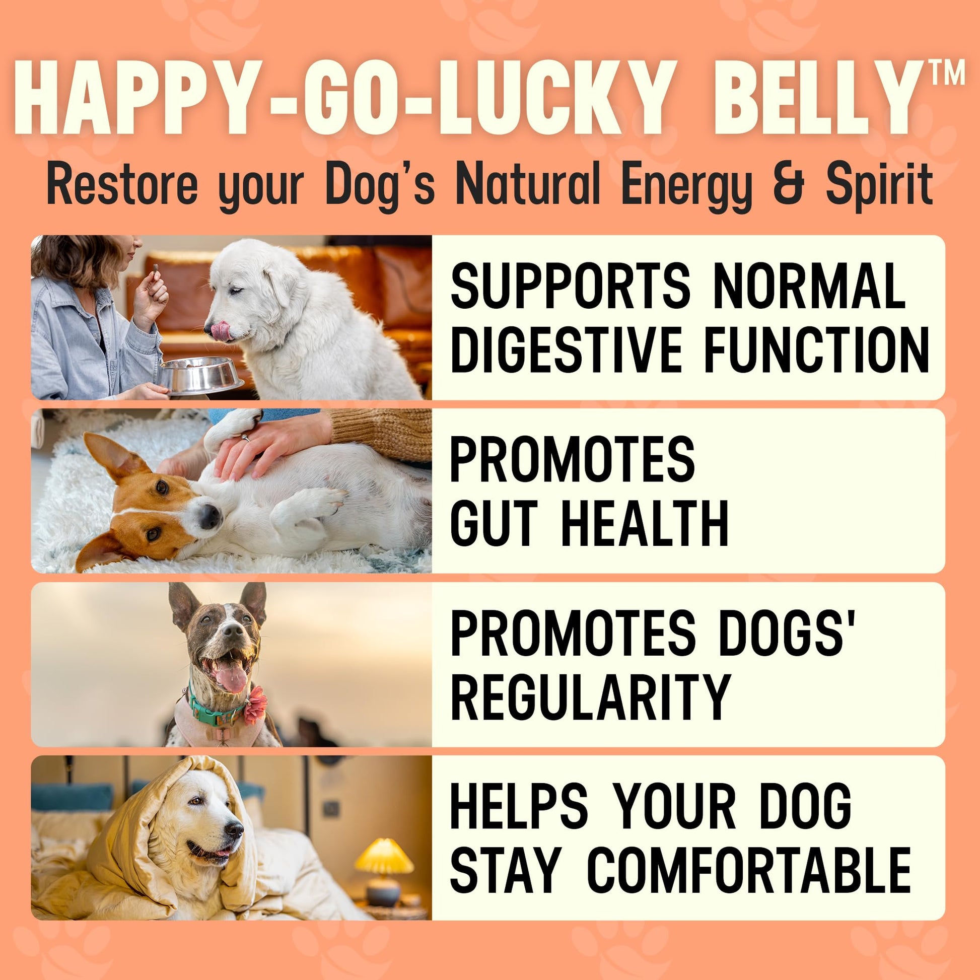 Better Dog Supplements Happy-Go-Lucky Belly by Cesar Millan - Natural Dog Digestive Support Powder – Dog Constipation Relief, Gut Balance & Regularity with Herbal Fiber for Dogs – 4oz (60-Day Supply) - dailyvitalstore