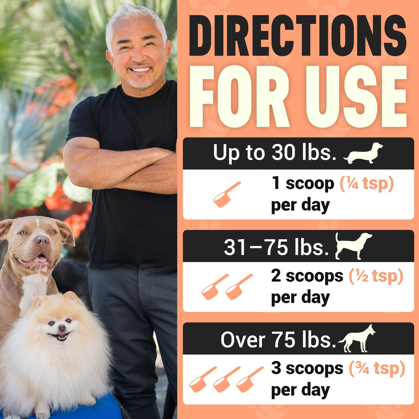 Better Dog Supplements Happy-Go-Lucky Belly by Cesar Millan - Natural Dog Digestive Support Powder – Dog Constipation Relief, Gut Balance & Regularity with Herbal Fiber for Dogs – 4oz (60-Day Supply) - dailyvitalstore