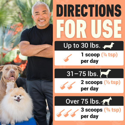Better Dog Supplements Happy-Go-Lucky Belly by Cesar Millan - Natural Dog Digestive Support Powder – Dog Constipation Relief, Gut Balance & Regularity with Herbal Fiber for Dogs – 4oz (60-Day Supply) - dailyvitalstore