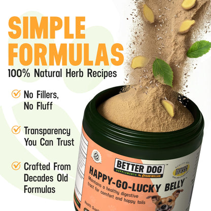 Better Dog Supplements Happy-Go-Lucky Belly by Cesar Millan - Natural Dog Digestive Support Powder – Dog Constipation Relief, Gut Balance & Regularity with Herbal Fiber for Dogs – 4oz (60-Day Supply) - dailyvitalstore