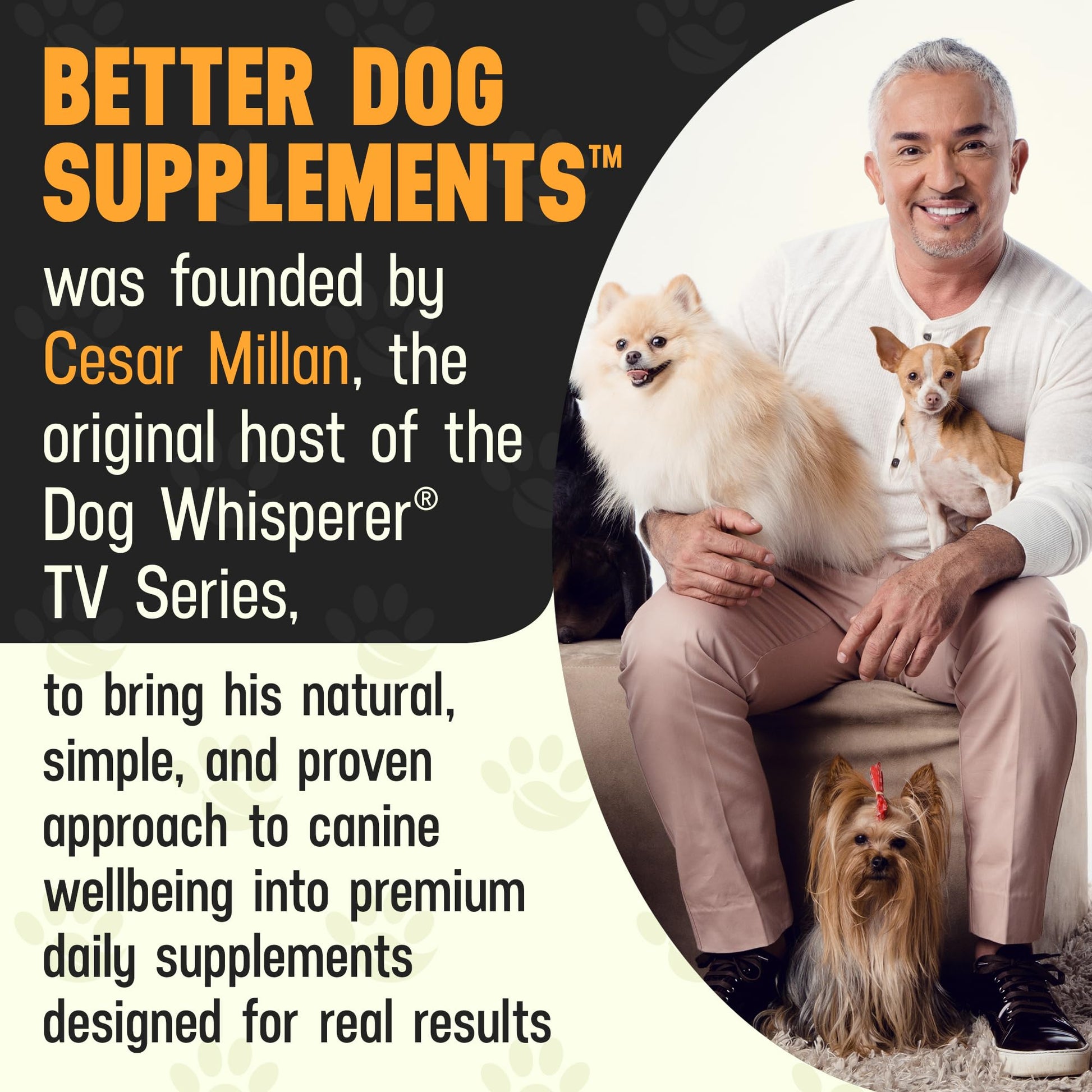 Better Dog Supplements Happy-Go-Lucky Belly by Cesar Millan - Natural Dog Digestive Support Powder – Dog Constipation Relief, Gut Balance & Regularity with Herbal Fiber for Dogs – 4oz (60-Day Supply) - dailyvitalstore