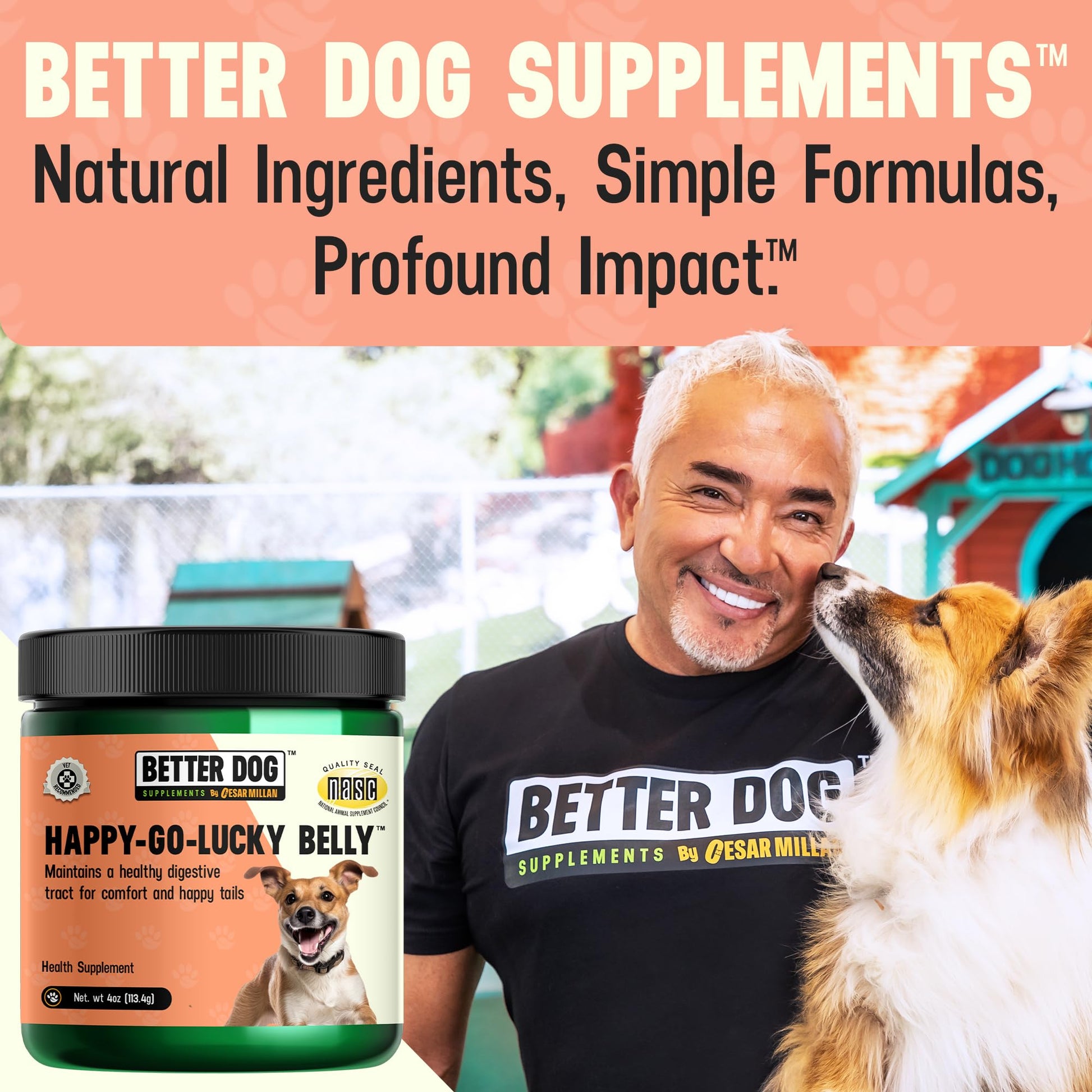 Better Dog Supplements Happy-Go-Lucky Belly by Cesar Millan - Natural Dog Digestive Support Powder – Dog Constipation Relief, Gut Balance & Regularity with Herbal Fiber for Dogs – 4oz (60-Day Supply) - dailyvitalstore